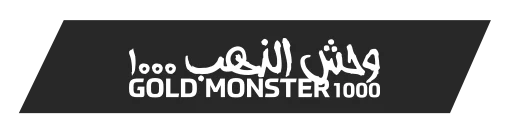 bursa-minelab-gold-monster-1000